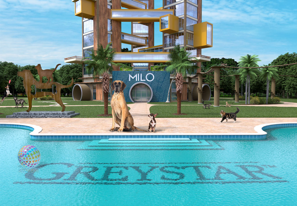 Pool at pet-friendly apartment community in Los Angeles